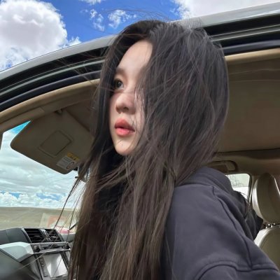 真假维梅尔